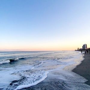 Meet your Posher, Ella